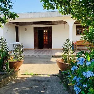 The Kapokier Guest house Saint-Pierre