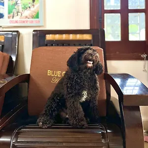 Séjour chez l'habitant Blue Clouds Homestay, Hội An